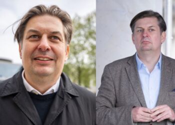 Maximilian Krah Ehefrau Todesursache: Alles, was man wissen muss